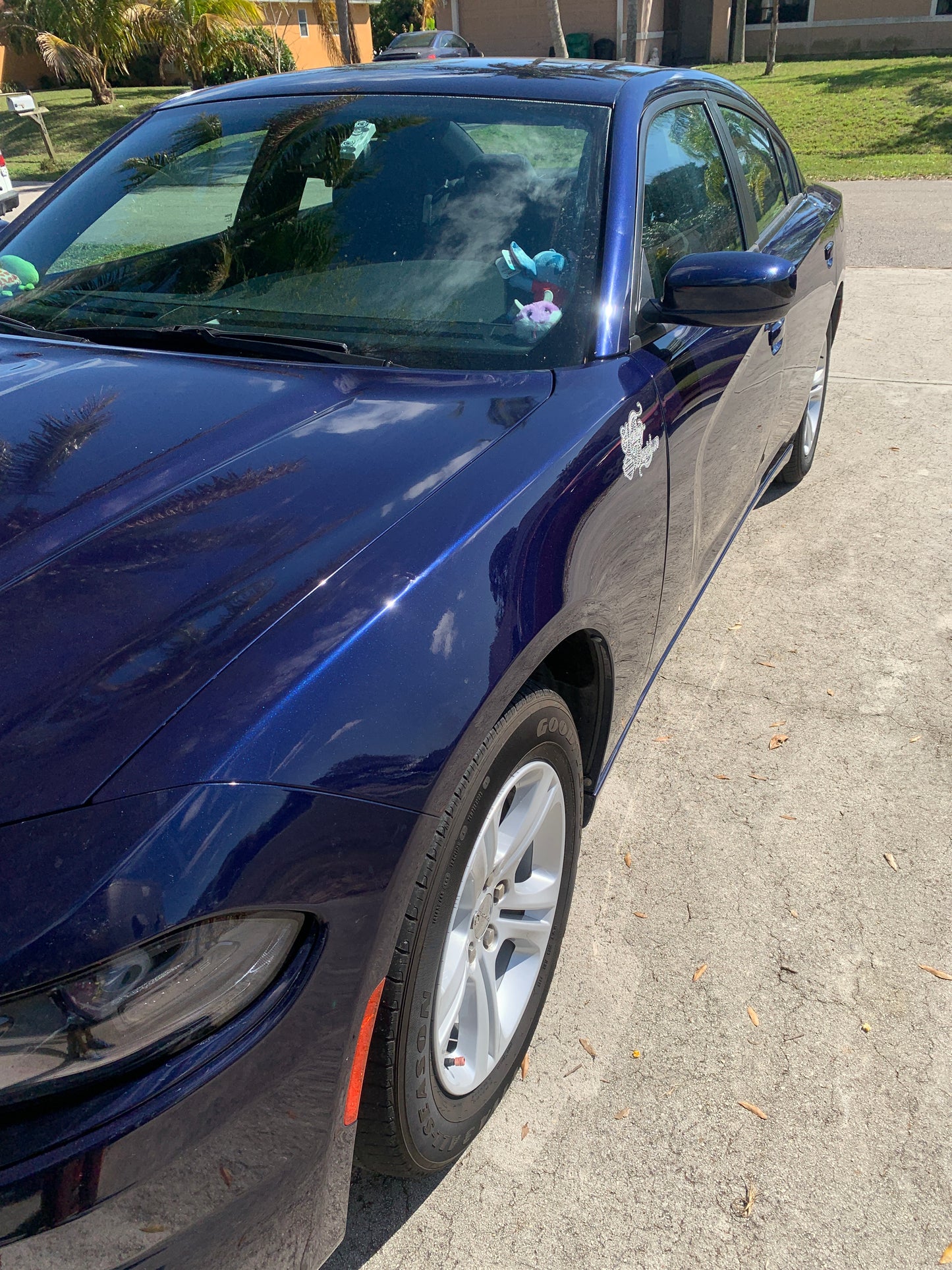 Blue Dodge Charger exterior shining bright after receiving our detailing services, with a clean and glossy finish.
