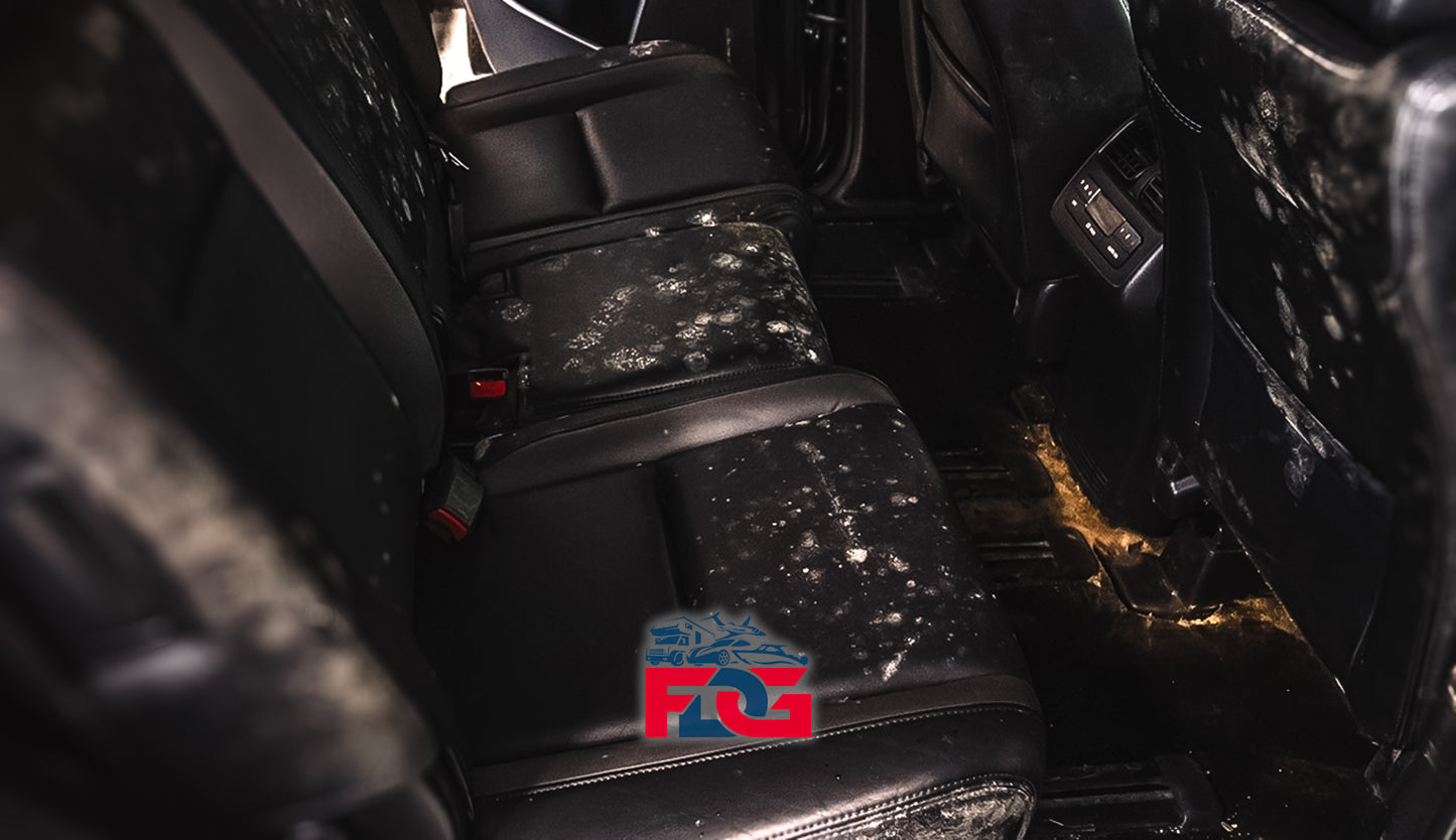 Mold Removal & Restoration Package | Restore & Sanitize Your Vehicle