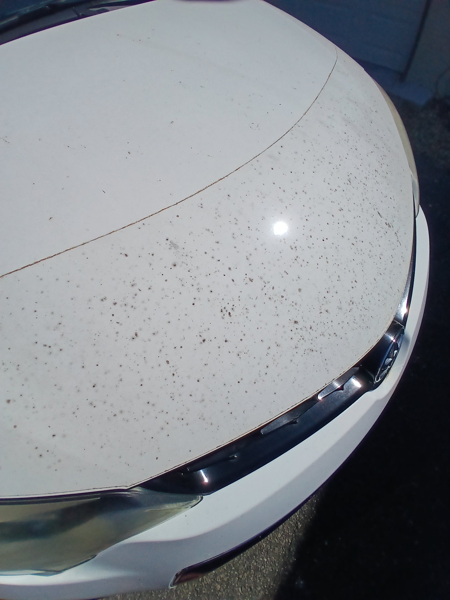Paint Protection Film | Install or Remove PPF