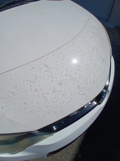 Paint Protection Film | Install or Remove PPF