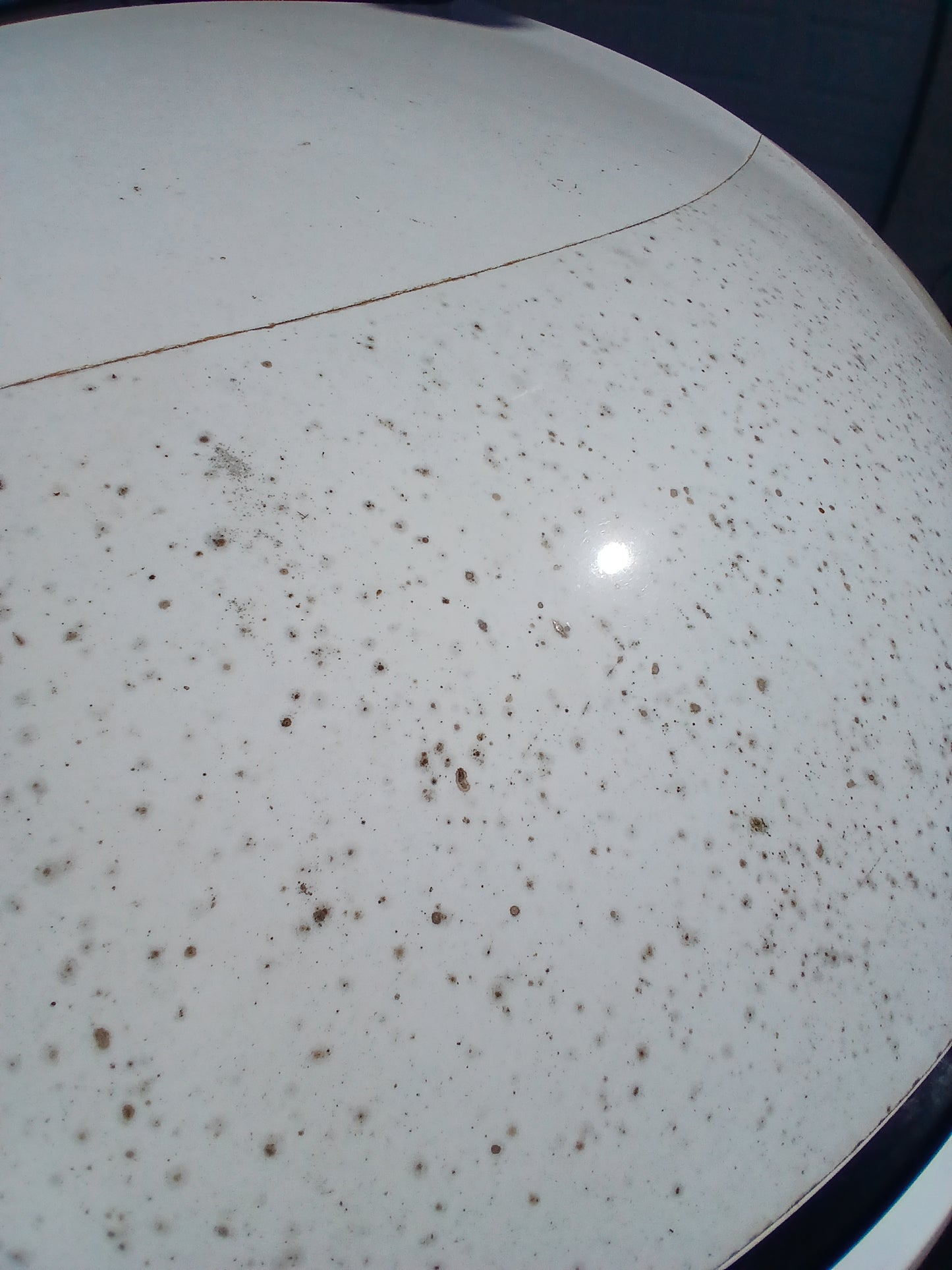 Paint Protection Film | Install or Remove PPF
