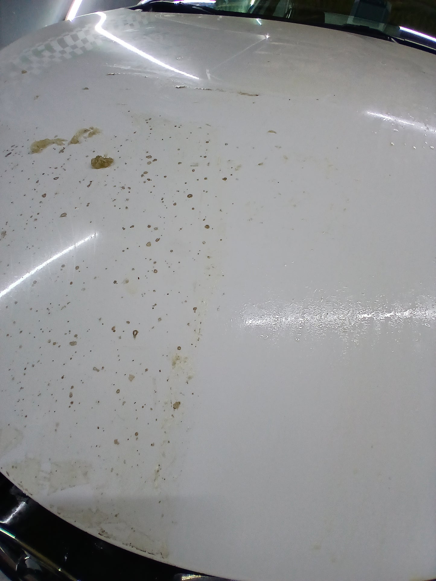 Paint Protection Film | Install or Remove PPF