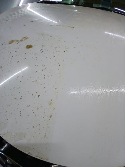 Paint Protection Film | Install or Remove PPF