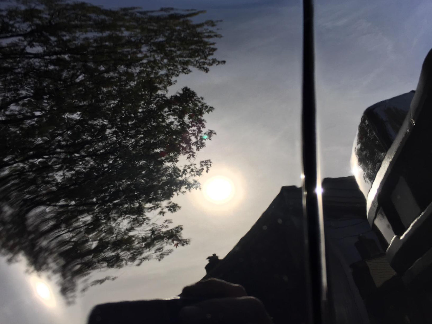 Close-up of black paint after a two-stage paint correction, showing the reflection of trees in the background.