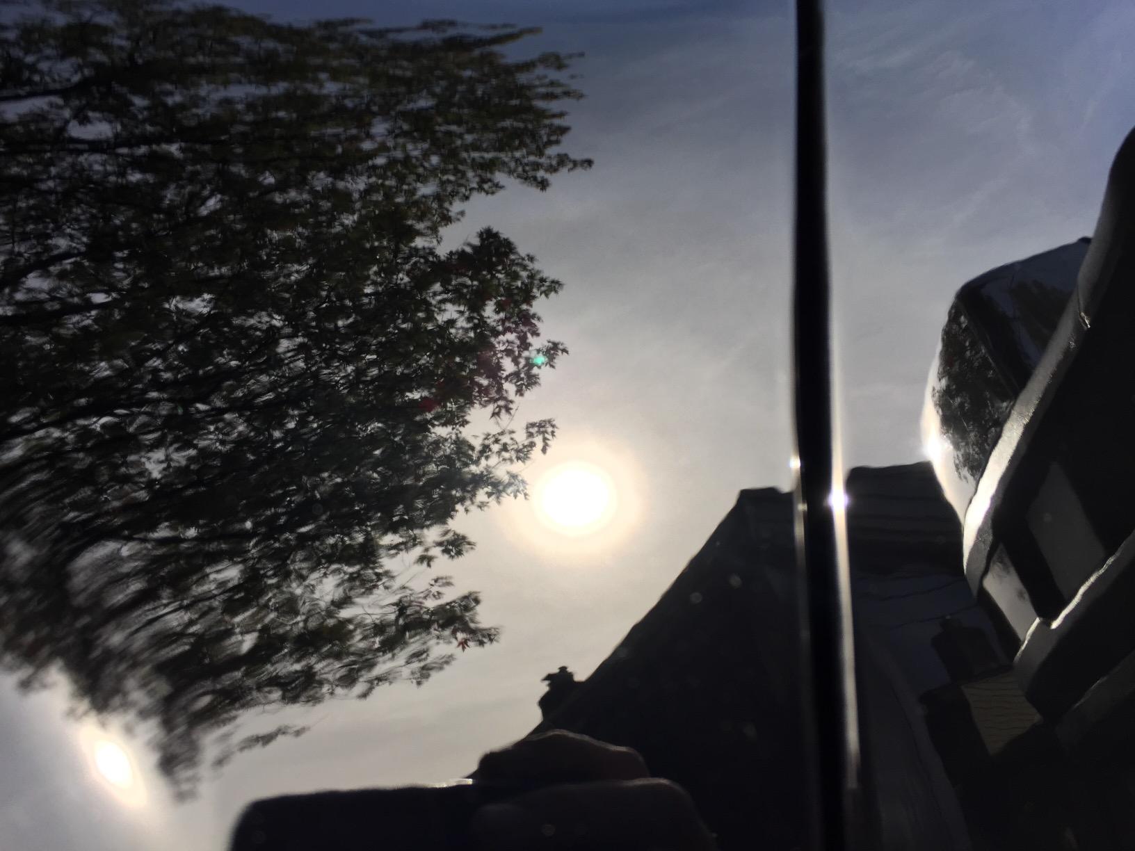 Close-up of black paint after a two-stage paint correction, showing the reflection of trees in the background.