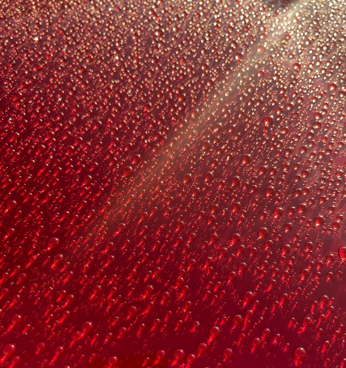 Graphene ceramic coating on a surface, demonstrating water beading properties at Finishline Detailing Garage LLC.