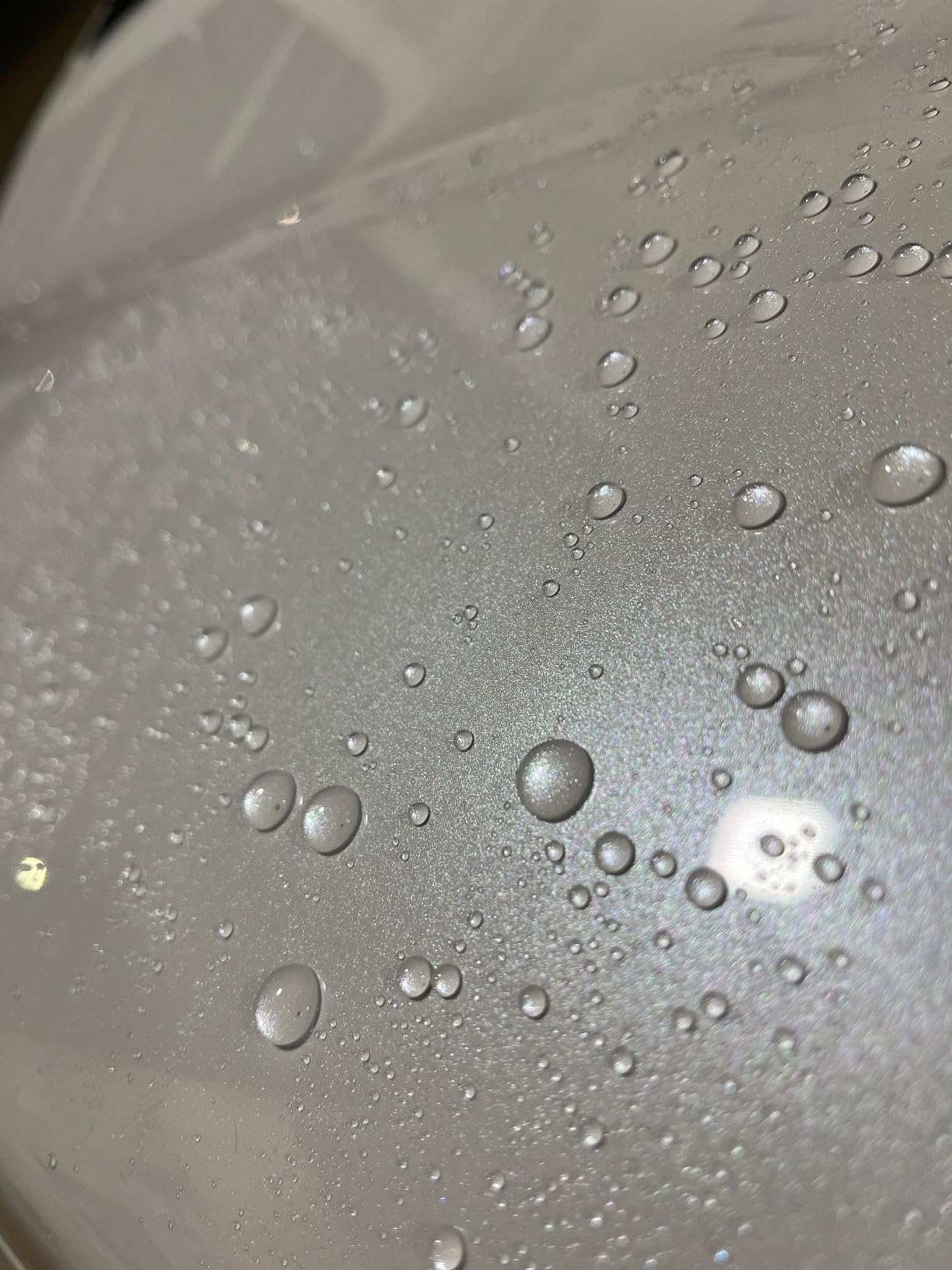 Detailed view of water beading on pearl white car paint after ceramic coating application.