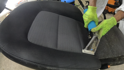 Mold Revival Package | Deep Mold & Mildew Removal